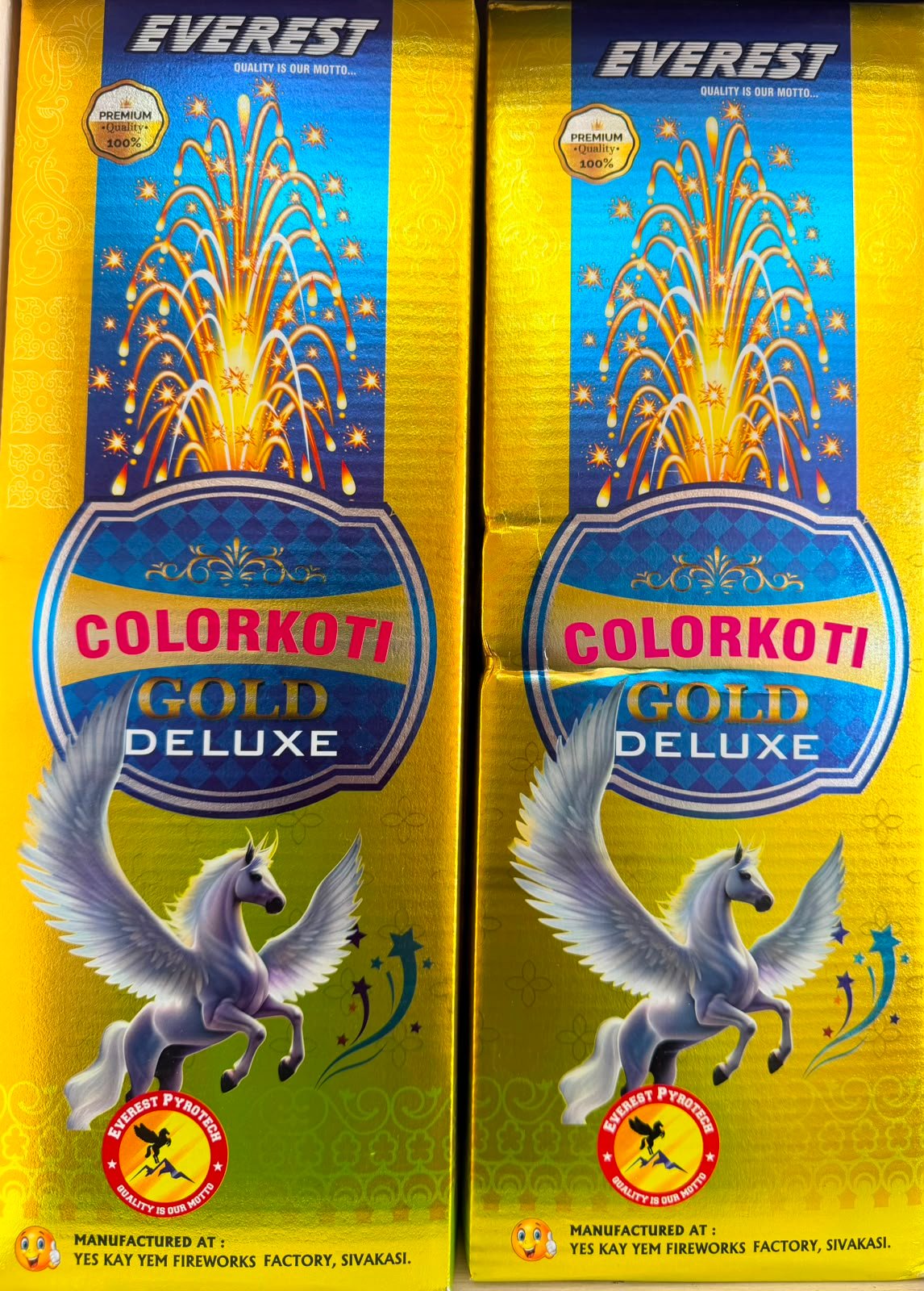 FLOWER POTS COLOR KOTI DLX (EVEREST)